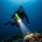 OceanPulse® Linterna Acuática Recargable con Cierre Hermético