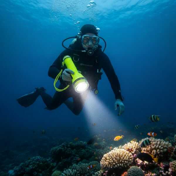 OceanPulse® Linterna Acuática Recargable con Cierre Hermético